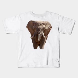 Elephant (No Background) Kids T-Shirt